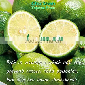 Hot Sale Fresh Green Lemon for Taiwan thumbnail-4