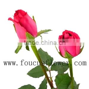 Flower Bouquets Flower Pots Flower Vase From Yunnan, China thumbnail-3