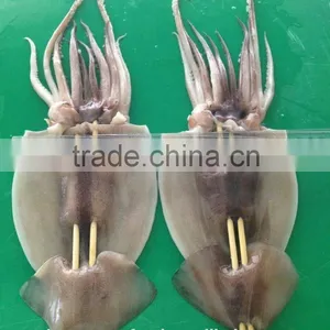 Barbecue Squid Products thumbnail-2