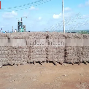 Tailand Bale Coconut Fiber Opening Machine thumbnail-6