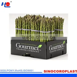 Anti-static Non-toxic Collapsible Folding Box thumbnail-3