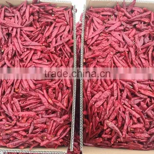 Dried Chilli thumbnail-3