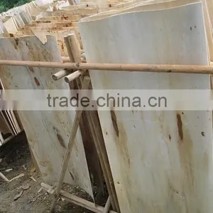 Acacia Rotary Veneer for Malaysia Market thumbnail-4