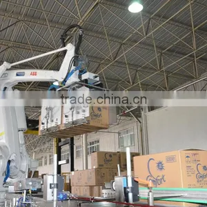 Robot Palletizing Machine thumbnail-1