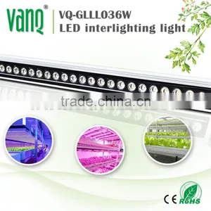 High Par 3.3ft IP65 36W LED Grow Bar Light for Greenhouse thumbnail-2