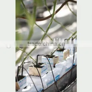 Fertigation System thumbnail-5