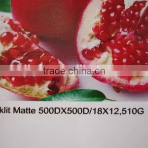 680g 1000*1000 20*20 Laminated Blockout Pvc Flex Banner thumbnail-4
