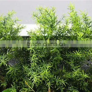 100*100*25cm Home Garden Decorative Indoor Vertical Plastic Artificial Green Plant Walls ZWQ09 2114 thumbnail-1