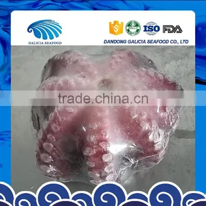 Frozen Blanched Octopus Flower Type thumbnail-1