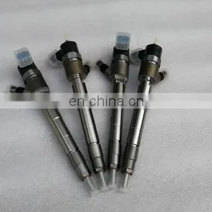 China Supplier Diesel Engine Fuel Injector 0445110317 Common Rail Injector for Excavator/loader/dozer Parts thumbnail-1