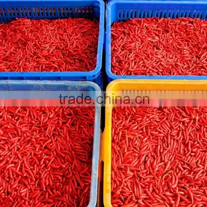 Fresh Hot Red Chili Exporting Vietnam thumbnail-1