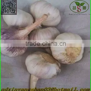 (HOT) Chinese Normal White Garlic thumbnail-1