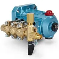 CAT Diving Pump thumbnail-1