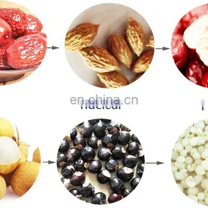 Electric Cherry Olive Palm Prune Date Peach Pitter Machine For Sale thumbnail-3