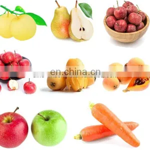 Industrial Belt Type Apple Juice Pressing Machine/NFC Apple Juice thumbnail-5