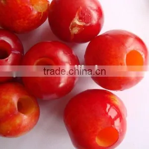 High Technology Red Date Pit Remove Machine / Jujube Pitting Machine / Cherry Pitter Machine thumbnail-1