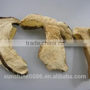 High Quality Wild Dried Boletus/porcini Edulis Mushroom Slices Grade A thumbnail-5