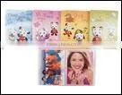 Plastic Folder thumbnail-1