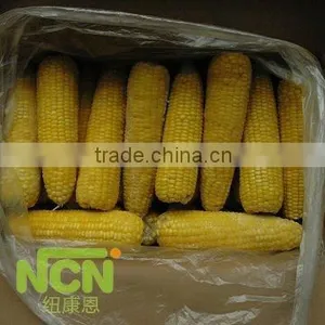 China Supply Frozen Sweet Corn Cob thumbnail-2