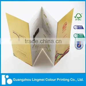 Qulaity Customized Advertising Brochure Printing With Foil Stamping thumbnail-5