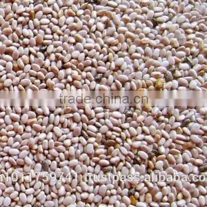 Chia Seeds White thumbnail-1