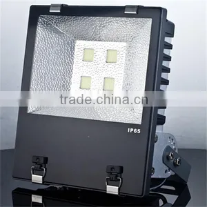 High Brightness Bridgelux COB LEDs 200w 150w 100w 50w Led Flood Light thumbnail-1