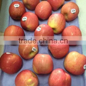 Apple thumbnail-1