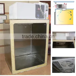 Polyurethane Cold Room With Ceiling Mounted Monoblock Compressor Unit(drop-in Compressor) thumbnail-1