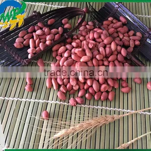 Colour Red Peanuts Kernels New Crop In thumbnail-3