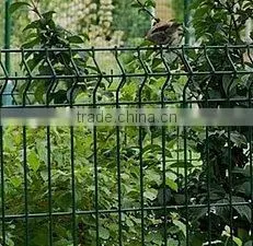 Pvc Coated Galvanized Welded Dog Fence thumbnail-3