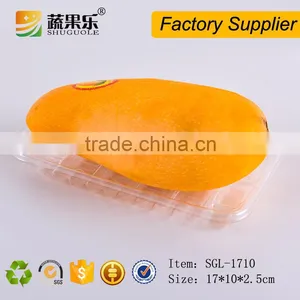 Clear Disposable Cheap Packaging PET Plastic Food Fruit Tray thumbnail-4