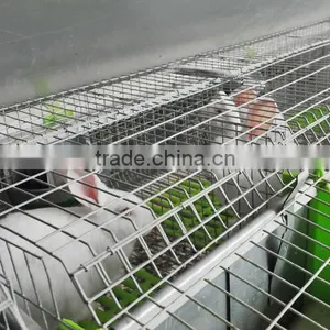 Automatic Rabbit Farming Equipment for Rex Rabbit thumbnail-1