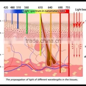 Oem Led Facial Beauty Machine Skin Lightening Led Machine thumbnail-5