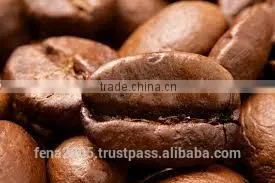 Coffee Beans From India thumbnail-3