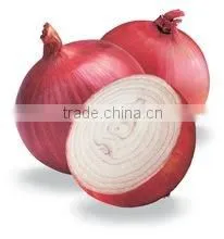 WHITE ONIONS thumbnail-2
