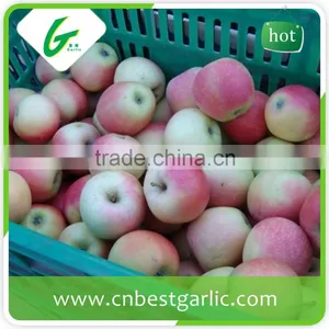 Chinese Grade A Fresh Royal Gala Apple thumbnail-1