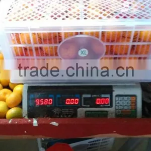 Chinese Fresh Orange Cheap Selling thumbnail-3