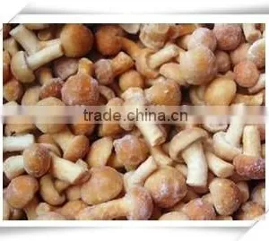 Famous Brand in China /popular Food/ China Frozen Food Mushroom thumbnail-1