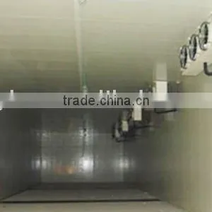 Cold Room thumbnail-1