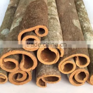 WHOLE CASSIA / CINNAMON thumbnail-3