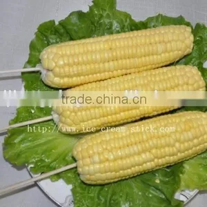 China Supplier Machine Use Wood Meat Skewers thumbnail-1