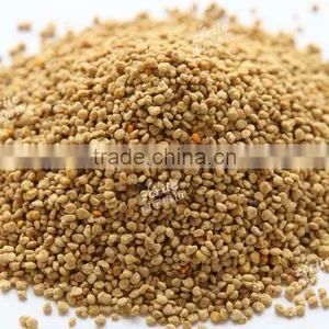 Careful Selected Pure Papaver Bee Pollen thumbnail-2