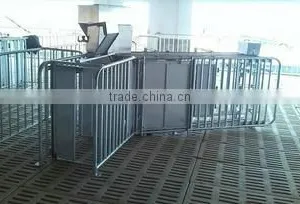 Poultry Farm Machinery Gestation Crates Stalls For Pigs thumbnail-6