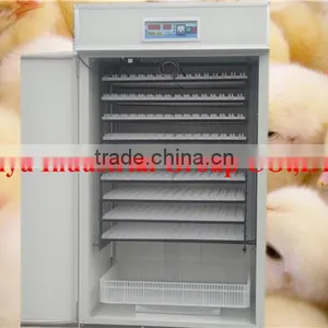 TAIYU Chicken Incubator Has Agent in Nigeria, Kenya Uganda and so on thumbnail-1