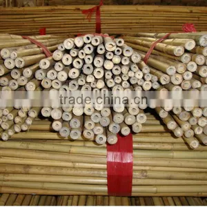 WY-202 Whole Part and Pole Shape Bamboo Cane for Sale thumbnail-4