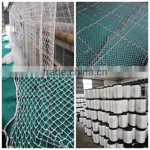 Building Safety Net thumbnail-1