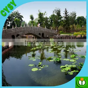 Wholesale 0.5mm-3mm Plastic Geomembrane Fish Farm Pond Liner and Dam Liner thumbnail-3