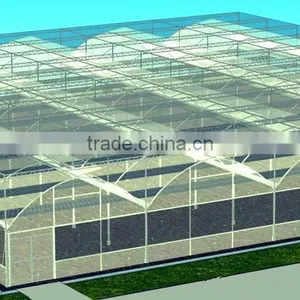 Hot-Dip Galvanized Steel Pipe Frame And 150mm PE Film Covered Multi-Span Greenhouse For Vegetables thumbnail-5