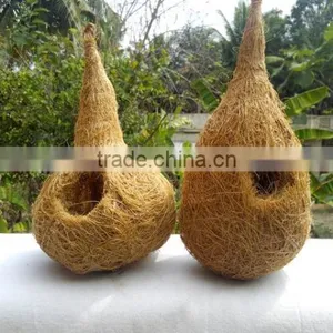 Bird Nest thumbnail-1