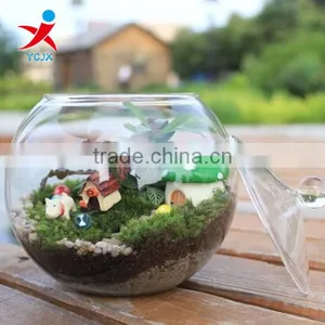 Clear Borosilicate Glass Indoor Plant Terrarium/ Empty Round Glass Fish Tank thumbnail-1